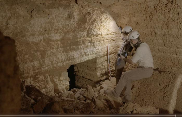 «لبنان…
      أسرار
      مملكة
      بيبلوس»
      يُعرض
      في
      متحف
      اللوفر