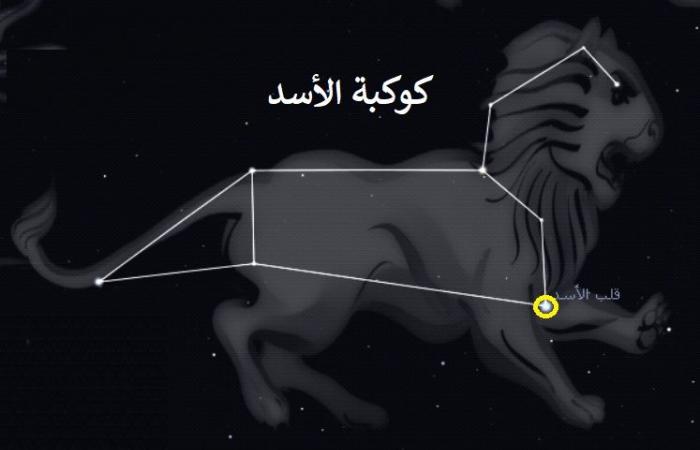 يمكن رؤيته بالعين المجردة.. نجم "قلب الأسد" يلمع بسماء قطر في هذا الموعد اليوم