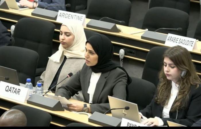 قطر: الاعتقالات التعسفية والمعاملة غير الإنسانية ضد الشعب الفسطيني سمة هيكلية للإبادة الجماعية الإسرائيلية المستمرة