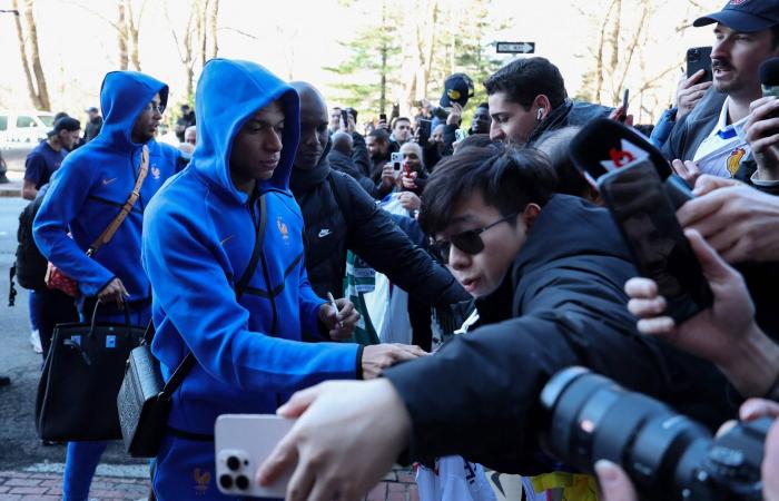 غوف:
      أحياناً
      أشعر
      أنني
      لا
      أستحق
      المكانة
      التي
      وصلت
      إليها