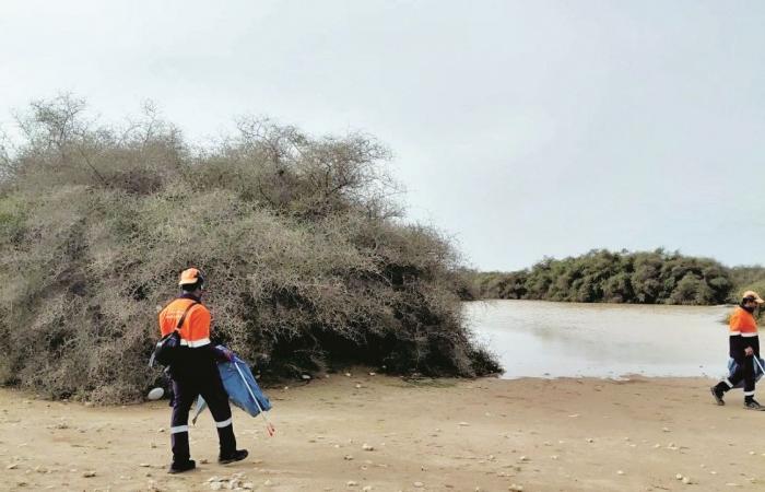 حملة تنظيف موسعة في الشواطئ ومواقع التخييم