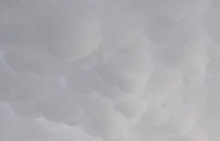 بعد ظهورها في سماء قطر.. تعرف على سحب الماماتوس