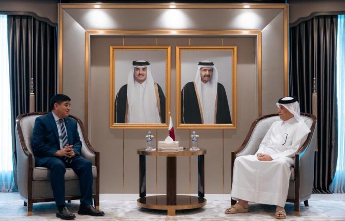 وزير الدولة للشؤون الخارجية يجتمع مع السفير التركي