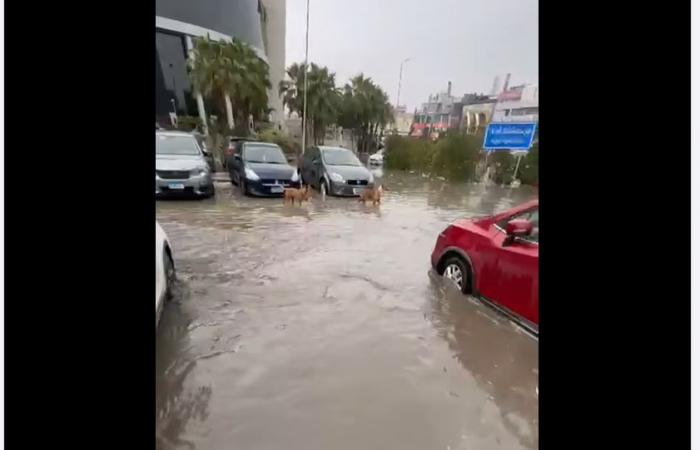 تقلبات
      الطقس
      تربك
      روتين
      المصريين