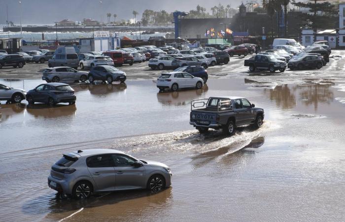 أمطار
      رعدية
      بالمنطقة
      في
      فصل
      الربيع...
      ما
      علاقة
      التغير
      المناخي؟
