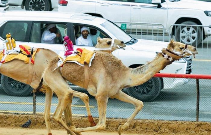 أبناء الشحانية يواصلون حصد الرموز في مهرجان ختامي المرموم