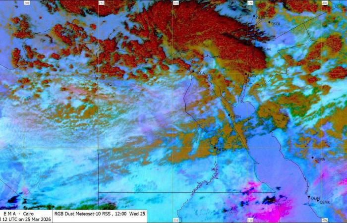 تقلبات
      الطقس
      تربك
      روتين
      المصريين