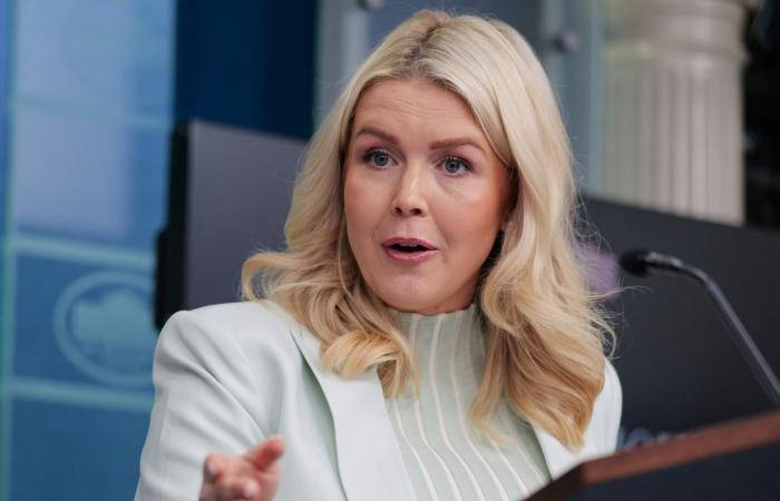 هل سيسعى ترامب لموافقة الكونغرس على نشر قوات بإيران؟.. البيت الأبيض يعلق