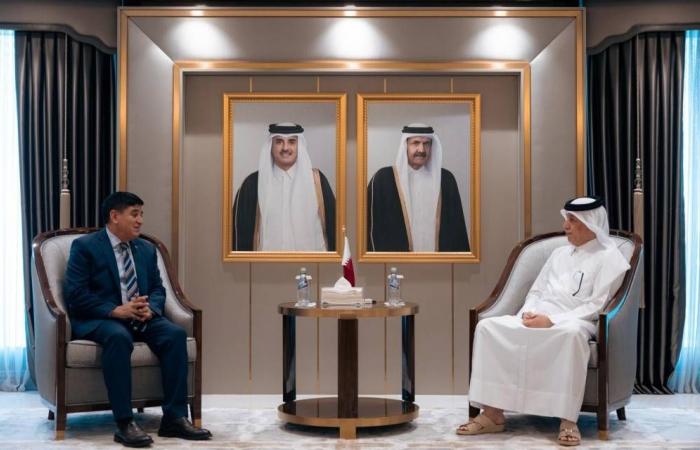 وزير الدولة للشؤون الخارجية يجتمع مع السفير التركي