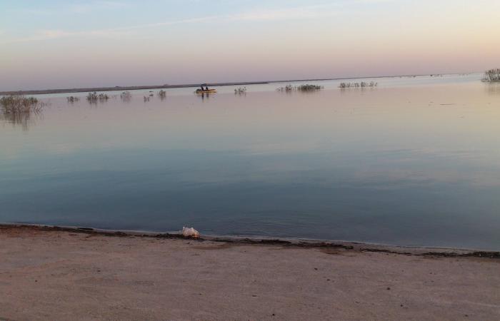 خطة
      أمنية
      لبيروت
      الإدارية
      لطمأنة
      النازحين
      وتبديد
      هواجس
      مضيفيهم