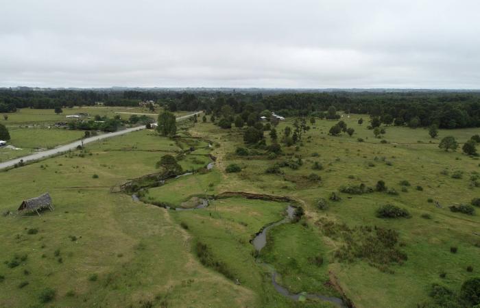 أدلة
      حديثة
      تُعيد
      رسم
      تاريخ
      وصول
      البشر
      إلى
      الأميركتين