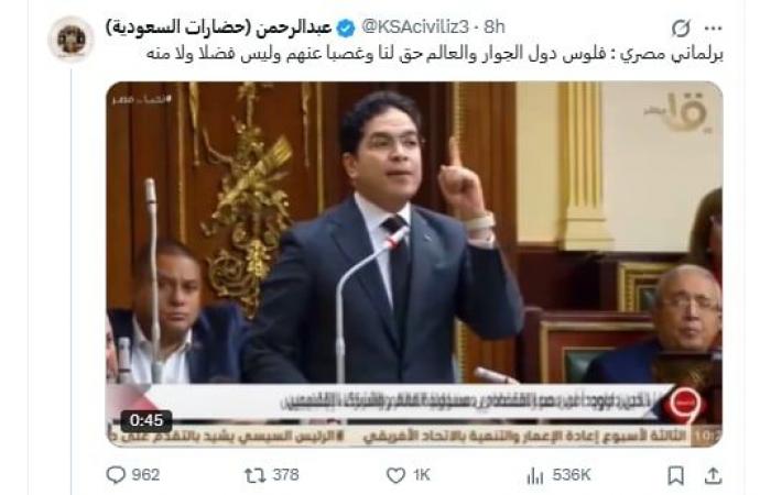 "مصر لا تستجدي أحدًا".. ما قصة الفيديو المتداول لبرلماني مصري؟