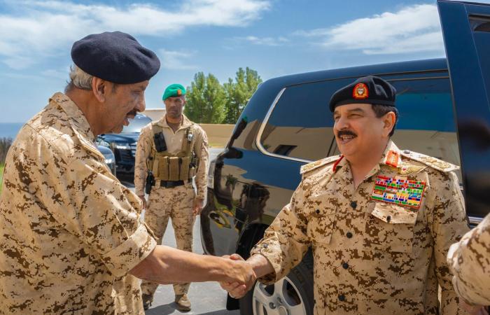 الدفاعات
      الخليجية
      تواصل
      التصدي
      للتهديدات
      الإيرانية
      بكفاءة
      عالية