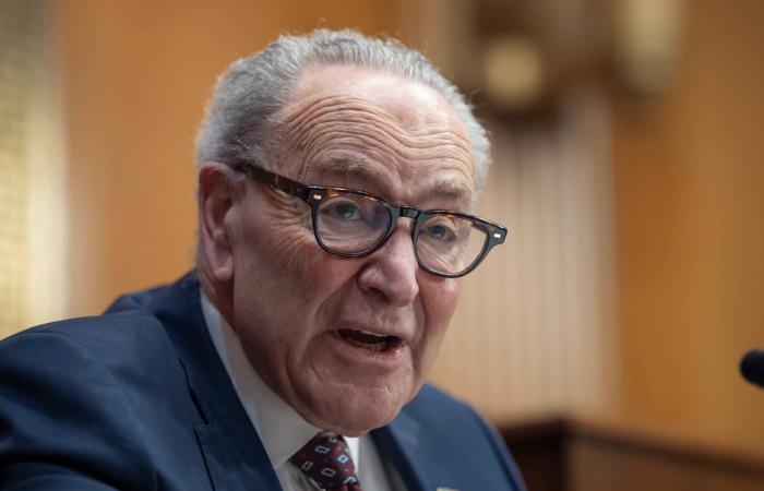 ناشطة
      أميركية
      مؤيدة
      للفلسطينيين
      تعلن
      إحباط
      مخطط
      لاغتيالها