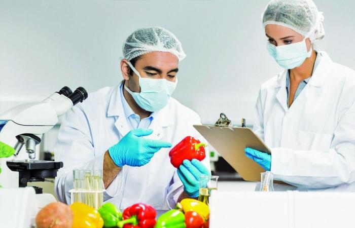 "واثق" يسجل أرقاماً غير مسبوقة في سلامة الغذاء