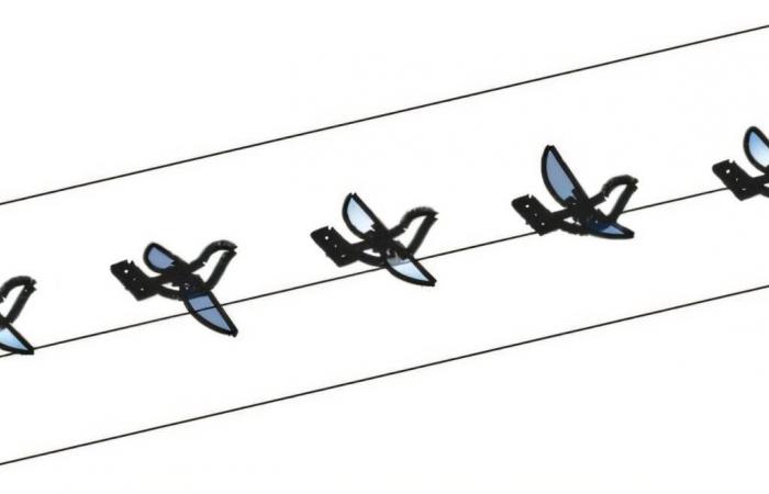 طائرات
      تحاكي
      الطيور…
      هل
      تعيد
      تعريف
      مستقبل
      الطائرات
      دون
      طيار؟