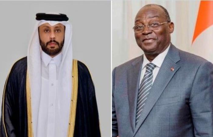 نائب رئيس جمهورية كوت ديفوار يجتمع مع سفير دولة قطر