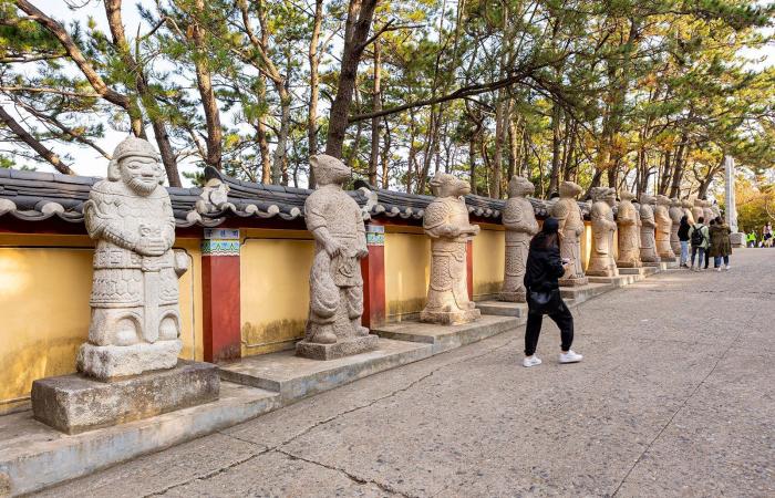 معبد على حافة البحر.. لم يتهافت الزوار على "قصر التنين" في كوريا الجنوبية؟