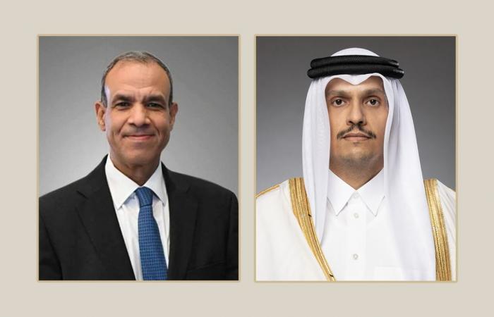 رئيس الوزراء يستقبل وزير الخارجية المصري