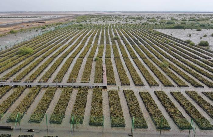 عُمان:
      إصابة
      عامل
      وأضرار
      محدودة
      بعد
      هجوم
      بمسيرتين
      على
      ميناء
      صلالة