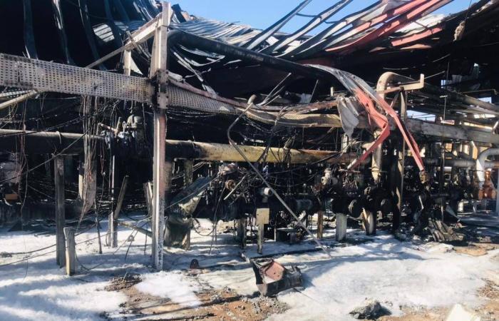 الخرطوم
      بين
      أنقاض
      الحرب...
      وأمل
      التعافي
      من
      كارثة
      بيئية