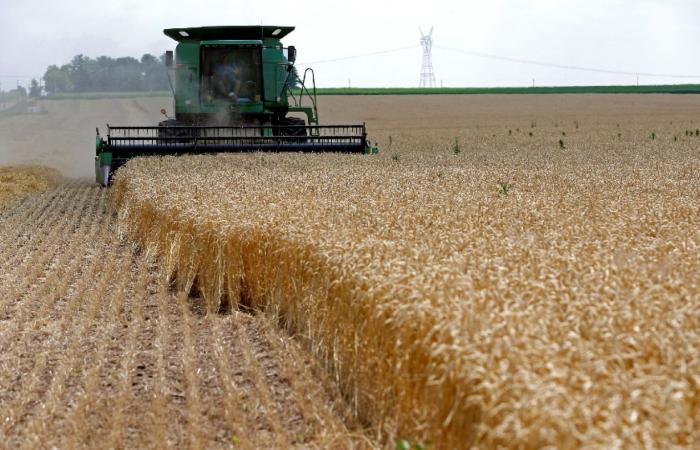 ناقلتا
      غاز
      مسال
      متجهتان
      إلى
      الهند
      تعبران
      مضيق
      هرمز