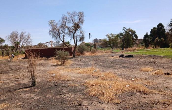 الخرطوم
      بين
      أنقاض
      الحرب...
      وأمل
      التعافي
      من
      كارثة
      بيئية