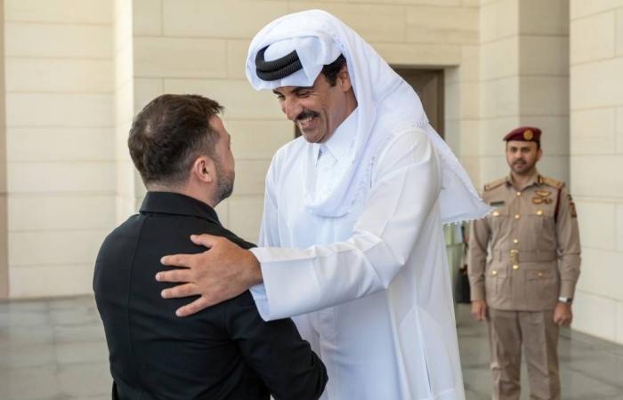 صاحب السمو والرئيس الأوكراني يبحثان التطورات