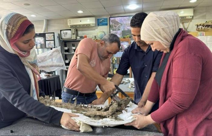 هشام
      سلام:
      «مصريبثيكس»
      يُعيد
      رسم
      خريطة
      تطوّر
      القردة...
      ومدرسة
      مصرية
      تُنافس
      عالمياً