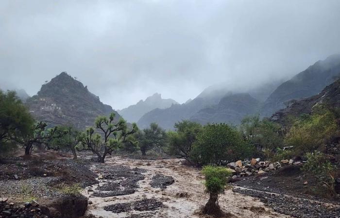 سيول
      جارفة
      تضرب
      تعز
      وتُخلف
      ضحايا
      ودماراً
      واسعاً