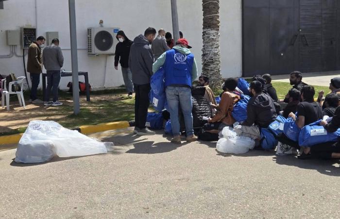 لماذا
      تفشل
      الجهود
      الليبية
      والأوروبية
      في
      كبح
      الهجرة
      غير
      النظامية؟