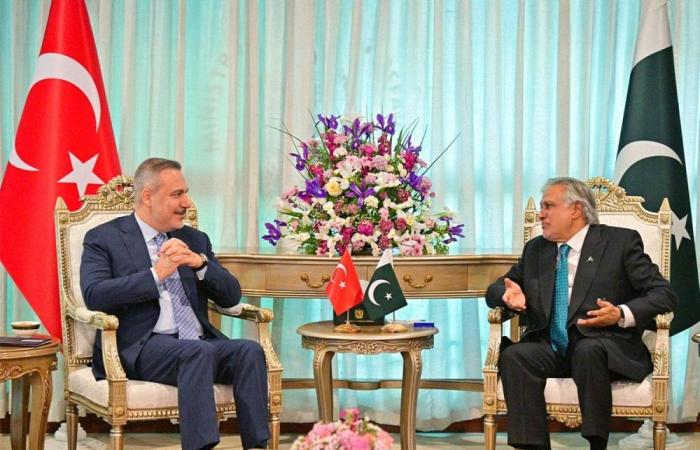 وزيرا الخارجية الباكستاني والتركي يبحثان آخر التطورات في المنطقة