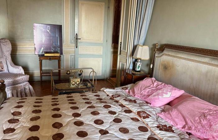 «كامبريدج»
      تُقدِّم
      دورة
      في
      علم
      النبات
      ألهمت
      داروين