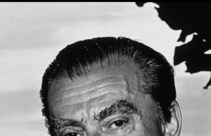 دواء
      فعّال
      لحماية
      مرضى
      السكري
      من
      النوبات
      القلبية