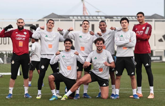 ممثلو
      العرب
      في
      المونديال
      يضعون
      اللمسات
      قبل
      الأخيرة
      بوديات
      صعبة