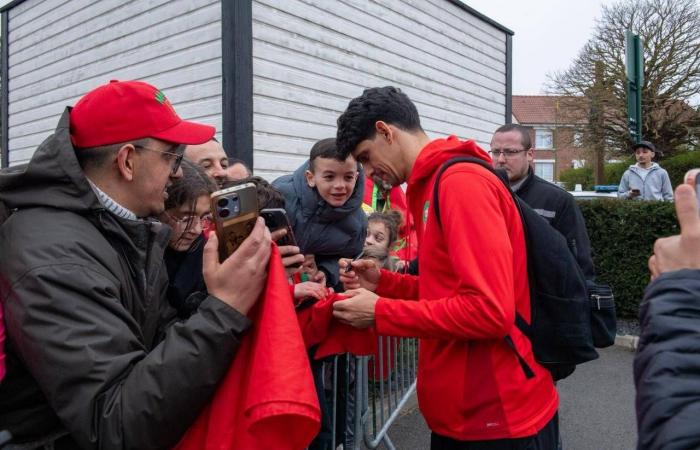 ممثلو
      العرب
      في
      المونديال
      يضعون
      اللمسات
      قبل
      الأخيرة
      بوديات
      صعبة