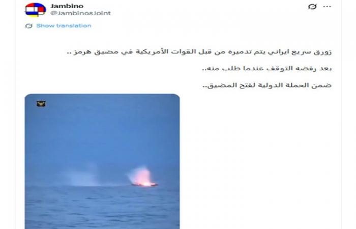 ما حقيقة فيديو "تدمير البحرية الأمريكية لزورق إيراني في مضيق هرمز"؟