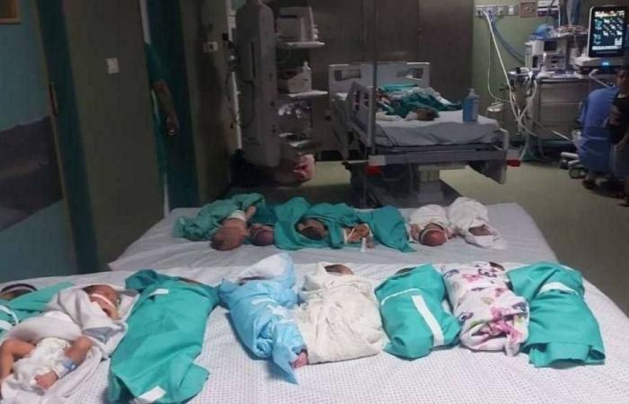 تم إجلاؤهم بداية الحرب.. غزة تستعد لاستقبال 8 أطفال خدّج عبر معبر رفح