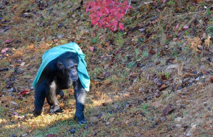 عودة
      قوية
      للسينما
      السعودية
      بعد
      العيد...
      في
      أسبوع
      استثنائي