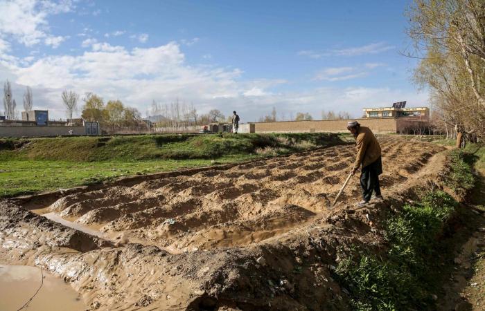 45
      قتيلاً
      على
      الأقل
      جراء
      أمطار
      وعواصف
      في
      أفغانستان
      وباكستان