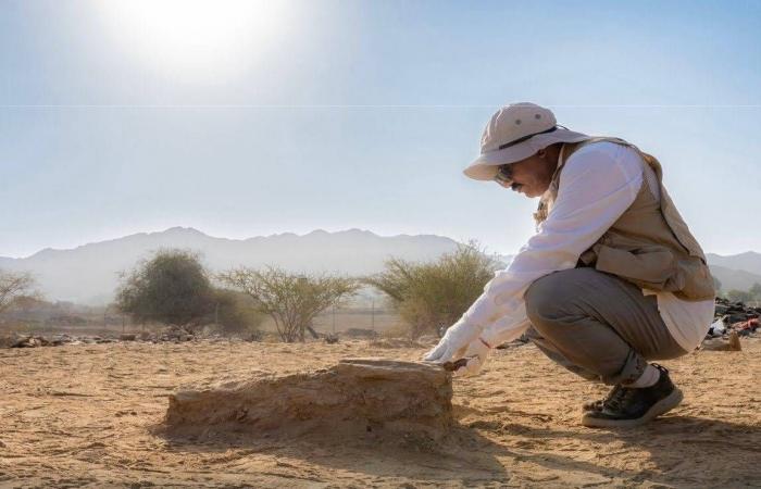 التنقيب
      في
      موقع
      العصداء
      بالباحة
      يكشف
      معالم
      معمارية
      ونشاط
      حضاري
      منذ
      الفترة
      الإسلامية
      المبكرة