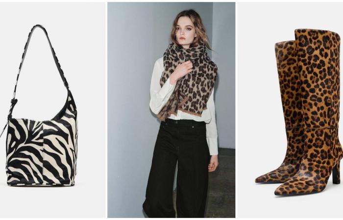 نقشات
      جلود
      الحيوانات...
      موضة
      تتراقص
      على
      خيط
      رفيع
      بين
      الأناقة
      والابتذال