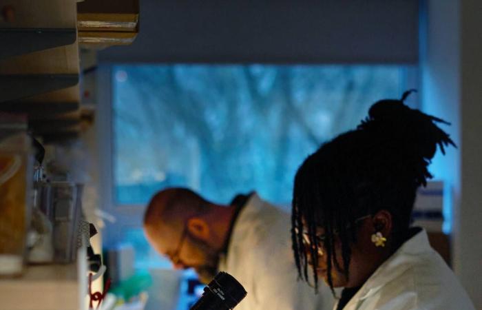 كيف
      تحوّل
      بيضةَ
      دجاجة
      مصنعاً
      للأدوية؟