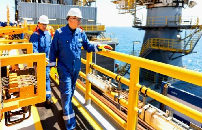 كيف
      توفر
      مصر
      احتياجاتها
      البترولية
      لوجيستياً
      ومالياً
      خلال
      الحرب
      الإيرانية؟