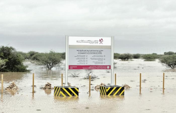 الأمطار الموسمية وجهود الرقابة تعيدان للبر عافيته