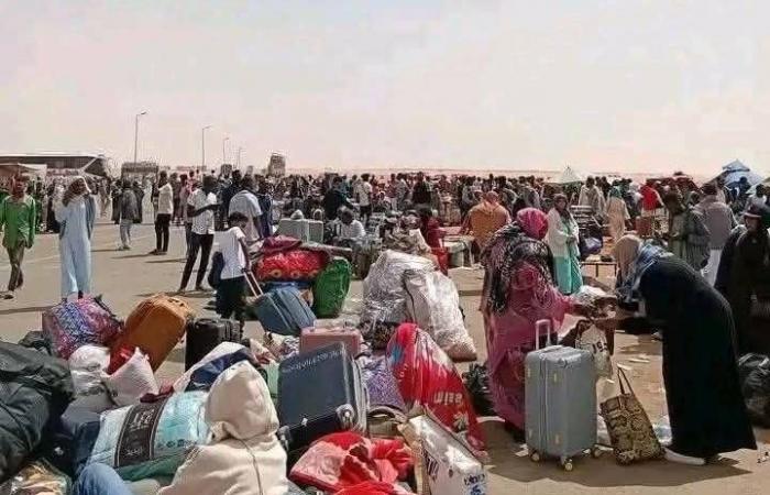 ازدياد
      أعداد
      السودانيين
      المغادرين
      من
      مصر
      رغم
      تراجع
      مبادرات
      «العودة
      المجانية»