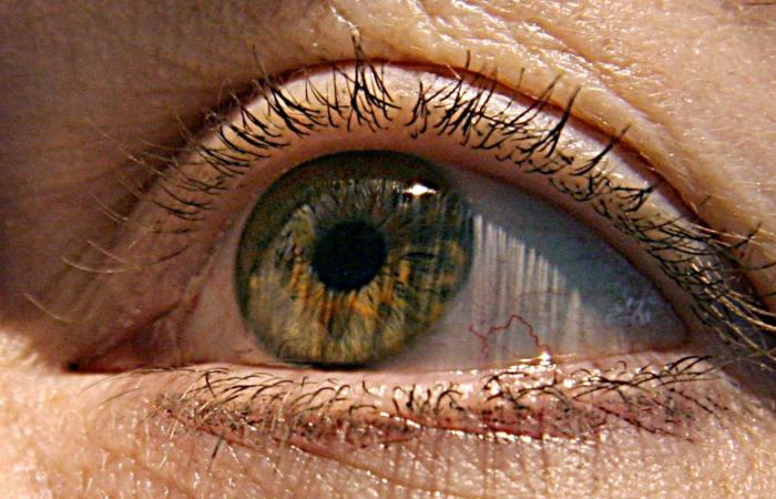 عمى الألوان..ما هي الاختبارات التي تساعد في تشخيص هذه الحالة؟