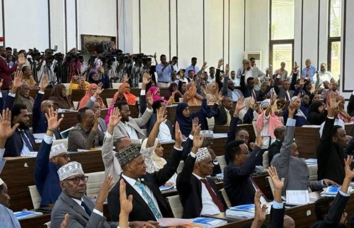 إسقاط
      لفتاغرين...
      اختبار
      مزدوج
      لسلطة
      الصومال
      على
      الأقاليم
      المتمردة