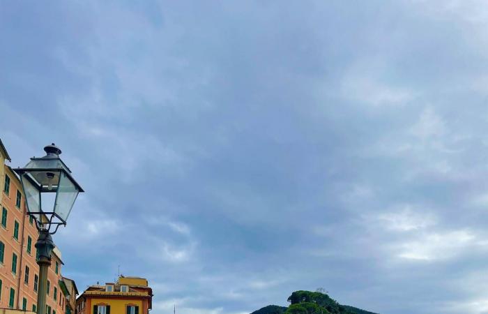 كيف
      غيّر
      «تيك
      توك»
      طريقة
      اختيار
      الوجهات؟