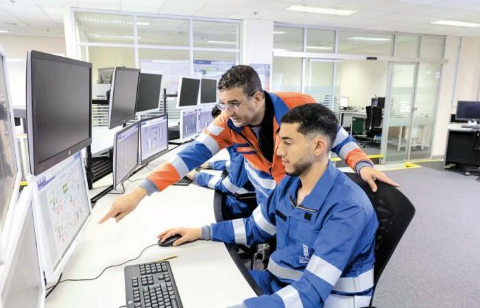 د. سالم النعيمي لـ "الشرق": برامج في الأمن الغذائي والرعاية الصحية بجامعة الدوحة